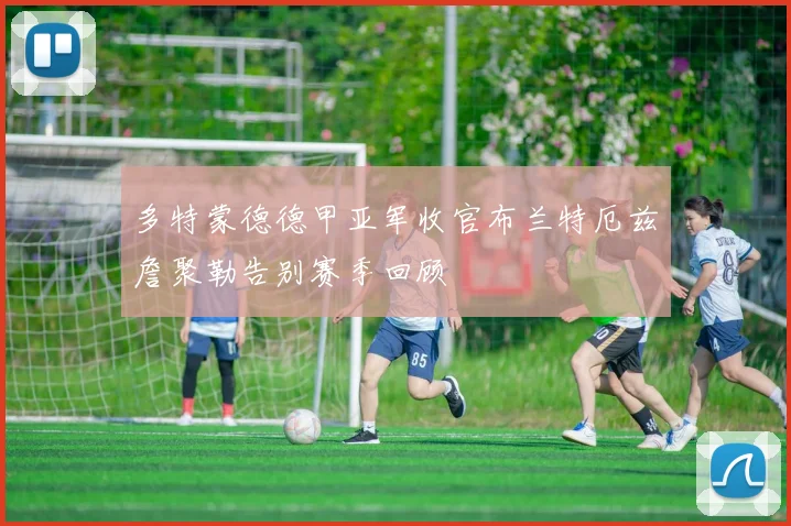多特蒙德德甲亚军收官布兰特厄兹詹聚勒告别赛季回顾