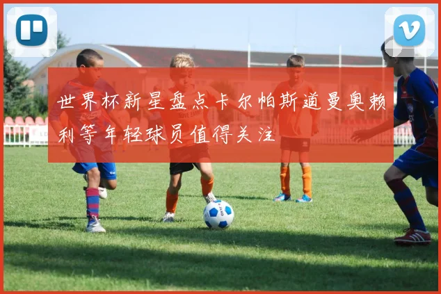 世界杯新星盘点卡尔帕斯道曼奥赖利等年轻球员值得关注